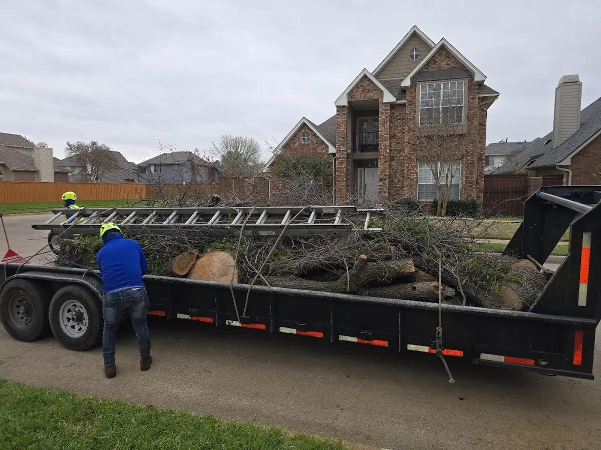 Expert Lot Clearing with proper safety equipment in Dougherty